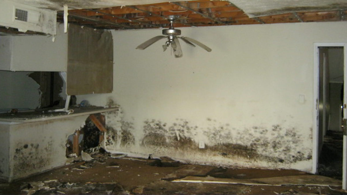 Insurance Claim Photos Dotson and Associates